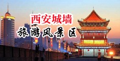 亚洲第一情网中国陕西-西安城墙旅游风景区