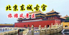 淫网址中国北京-东城古宫旅游风景区